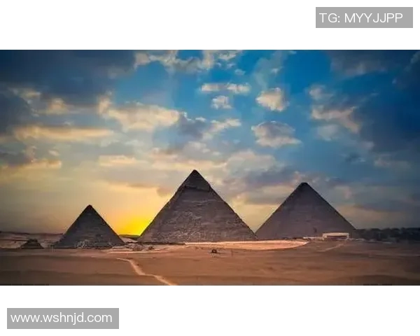 亚当斯的探索之旅：揭示科学与人性交织的奥秘与启示